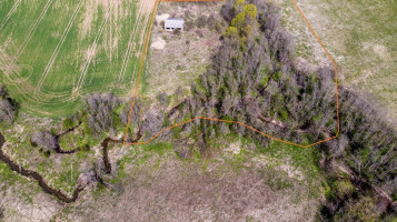 Parduodamas kitos paskirties sklypas Lapšių k., Širvintų r. sav., 188 a ploto 6