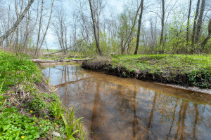 Parduodamas kitos paskirties sklypas Lapšių k., Širvintų r. sav., 188 a ploto 8