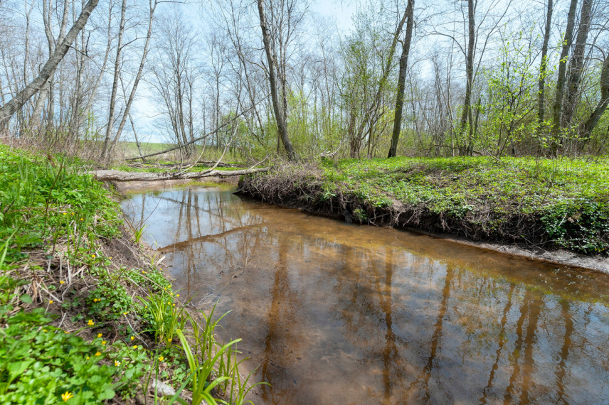 Parduodamas kitos paskirties sklypas Lapšių k., Širvintų r. sav., 188 a ploto 8