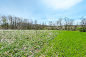 Parduodamas kitos paskirties sklypas Lapšių k., Širvintų r. sav., 188 a ploto 18