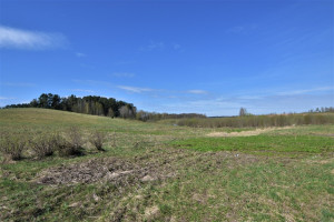 Parduodamas kitos paskirties sklypas Pikutiškių g., Švedų k., Vilniaus r. sav., 10.02 a ploto 7