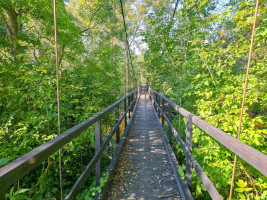 Parduodamas kitos paskirties sklypas Žemdirbių g., Paliūniškio k., Panevėžio r. sav., 22 a ploto 4
