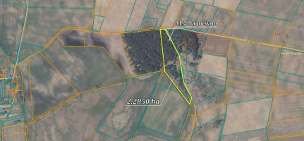 Parduodamas  sklypas Laimės g., Senojo Tarpupio k., Trakų r. sav., 228.5 a ploto 12