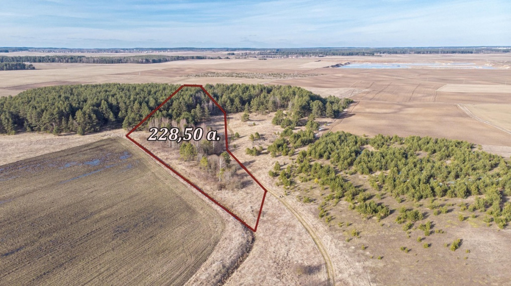 Parduodamas sklypas Laimės g., Senojo Tarpupio k., Trakų r. sav., 228.5 a ploto 1
