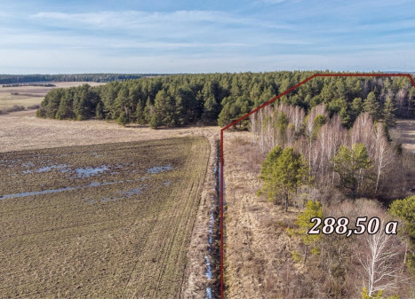 Parduodamas  sklypas Laimės g., Senojo Tarpupio k., Trakų r. sav., 228.5 a ploto