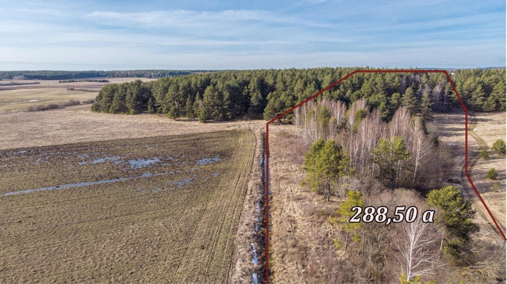 Parduodamas sklypas Laimės g., Senojo Tarpupio k., Trakų r. sav., 228.5 a ploto 2