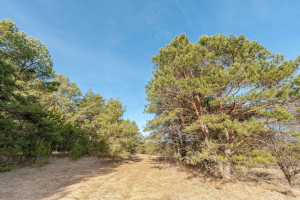 Parduodamas  sklypas Laimės g., Senojo Tarpupio k., Trakų r. sav., 228.5 a ploto 10