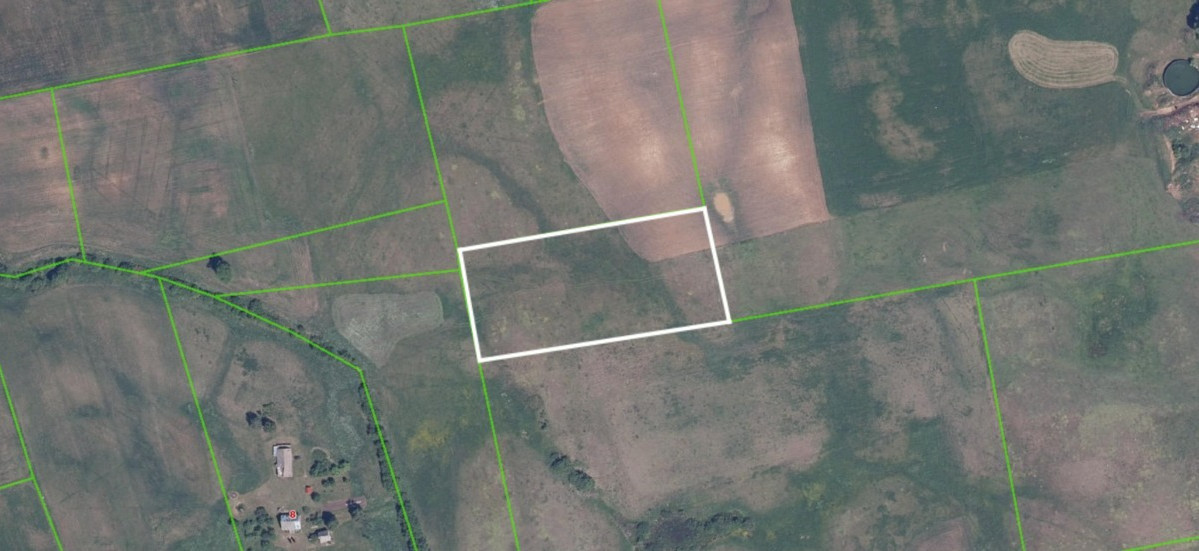 Parduodamas sklypas Takniškių k., Alytaus r. sav., 106 a ploto 4