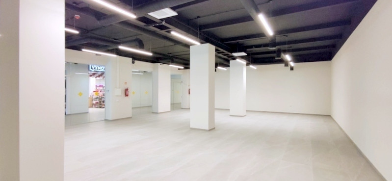 Nuomojamos administracinės, kitos paskirties, paslaugų, prekybos patalpos Dubysos g., Raseinių m., Raseinių r. sav., 1500 m2 ploto 11