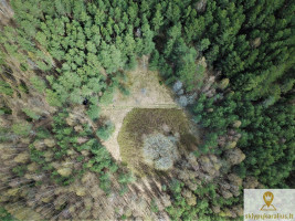 Parduodamas kitos paskirties sklypas Kaziūriškių k., Zarasų r. sav., 1200 a ploto 10