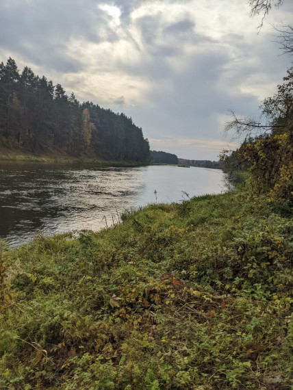 Parduodamas sklypas Bareišiūnų k., Švenčionių r. sav., 1.10 a ploto 2