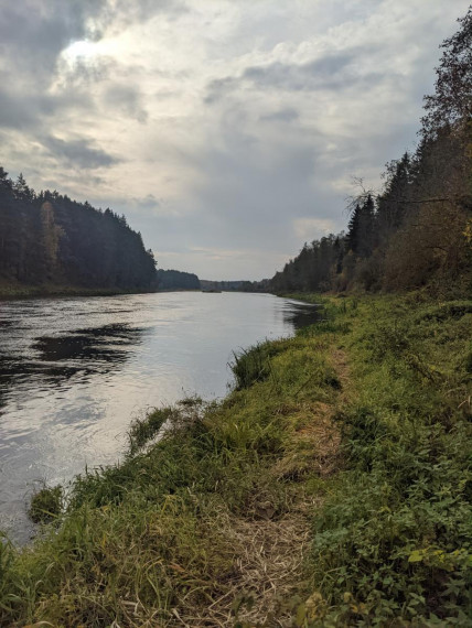 Parduodamas sklypas Bareišiūnų k., Švenčionių r. sav., 1.10 a ploto 3