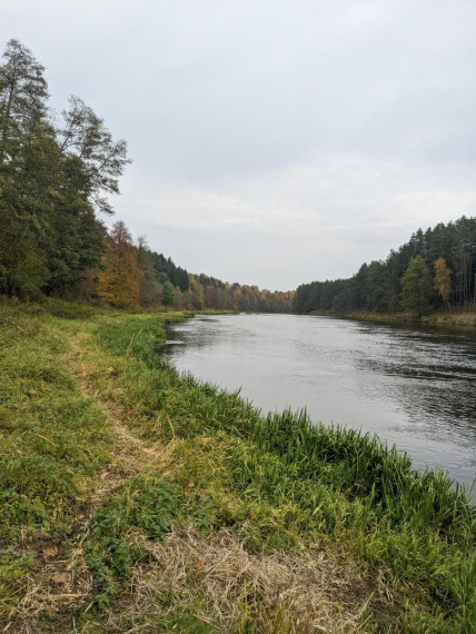 Parduodamas sklypas Bareišiūnų k., Švenčionių r. sav., 1.10 a ploto 4