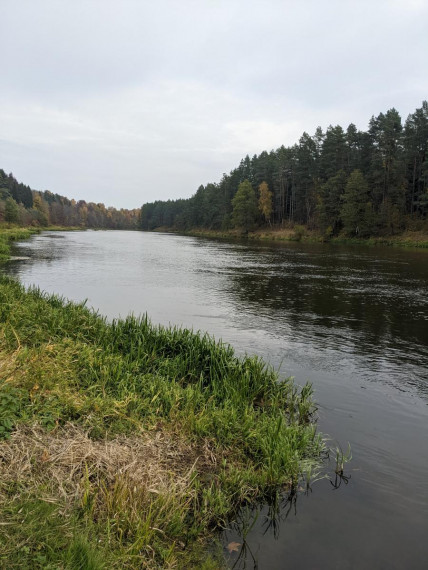 Parduodamas sklypas Bareišiūnų k., Švenčionių r. sav., 1.10 a ploto 1