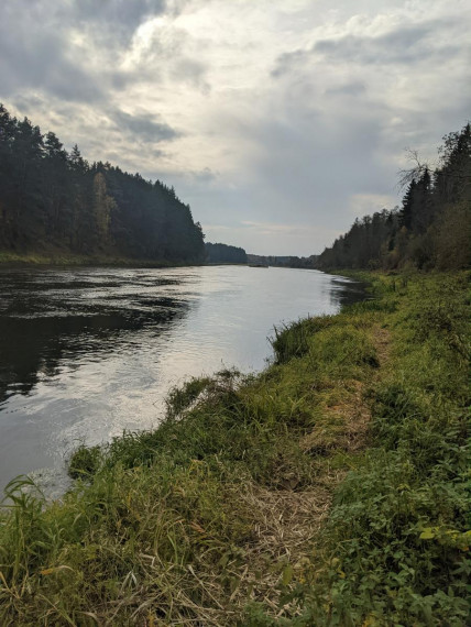 Parduodamas sklypas Bareišiūnų k., Švenčionių r. sav., 1.10 a ploto 5