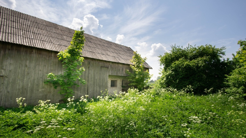 Parduodamas namas Knygnešių g., Grinaičių k., Šakių r. sav., 117.08 m2 ploto 6