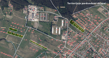 Parduodamas  sklypas Užugirio g., Neravų k., Druskininkų sav., 16.27 a ploto 12