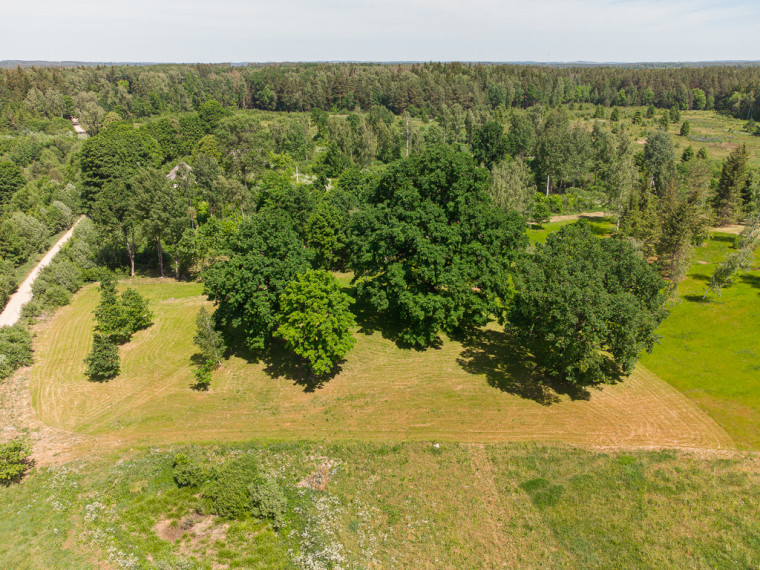 Parduodamas sklypas Julijanavos k., 59.05 a ploto 19