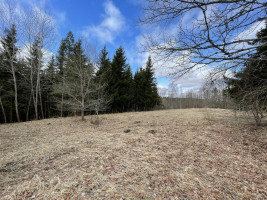 Parduodamas gražus, labai jaukus 1,88 ha gamtos kampelis,  netoli Šiaulių miesto. 2