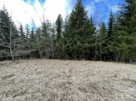 Parduodamas gražus, labai jaukus 1,88 ha gamtos kampelis,  netoli Šiaulių miesto. 3