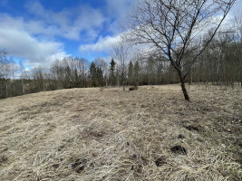 Parduodamas gražus, labai jaukus 1,88 ha gamtos kampelis,  netoli Šiaulių miesto. 4