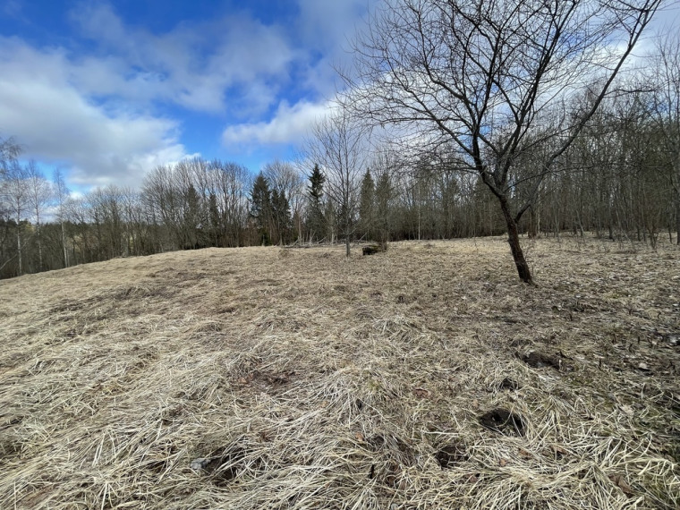 Parduodamas gražus, labai jaukus 1,88 ha gamtos kampelis, netoli Šiaulių miesto. 4