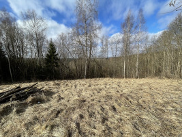 Parduodamas gražus, labai jaukus 1,88 ha gamtos kampelis,  netoli Šiaulių miesto. 7
