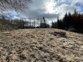 Parduodamas gražus, labai jaukus 1,88 ha gamtos kampelis,  netoli Šiaulių miesto. 9