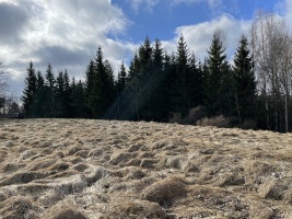 Parduodamas gražus, labai jaukus 1,88 ha gamtos kampelis,  netoli Šiaulių miesto. 11
