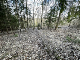 Parduodamas gražus, labai jaukus 1,88 ha gamtos kampelis,  netoli Šiaulių miesto. 14