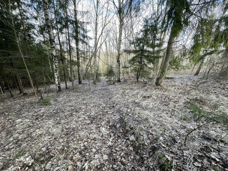Parduodamas gražus, labai jaukus 1,88 ha gamtos kampelis,  netoli Šiaulių miesto. 14
