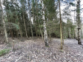 Parduodamas gražus, labai jaukus 1,88 ha gamtos kampelis,  netoli Šiaulių miesto. 15