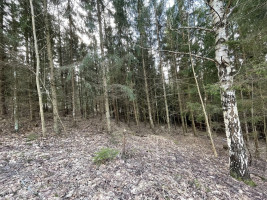 Parduodamas gražus, labai jaukus 1,88 ha gamtos kampelis,  netoli Šiaulių miesto. 16