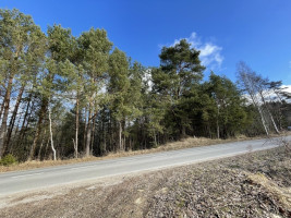 Parduodamas gražus, labai jaukus 1,88 ha gamtos kampelis,  netoli Šiaulių miesto. 18