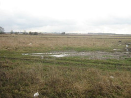 Parduodamas daugiaaukštės gyvenamosios paskirties sklypas Dauparų k., Klaipėdos r. sav., 12 a ploto 4