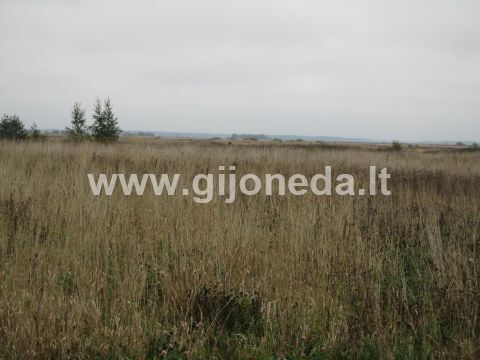 Parduodamas žemės ūkio paskirties sklypas Ruslių k., Klaipėdos r. sav., 120 a ploto 34