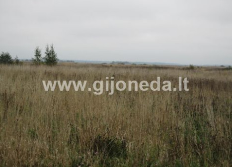 Parduodamas žemės ūkio paskirties sklypas Ruslių k., Klaipėdos r. sav., 120 a ploto