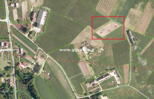 Parduodamas daugiaaukštės gyvenamosios paskirties sklypas Maciuičių k., Klaipėdos r. sav., 8 a ploto 3