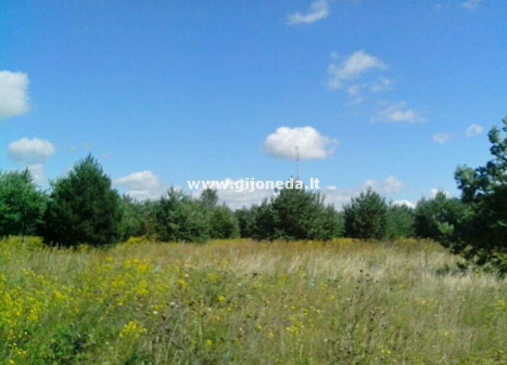 Parduodamas daugiaaukštės gyvenamosios paskirties sklypas Kisinių k. dal., Klaipėdos r. sav., 19 a ploto
