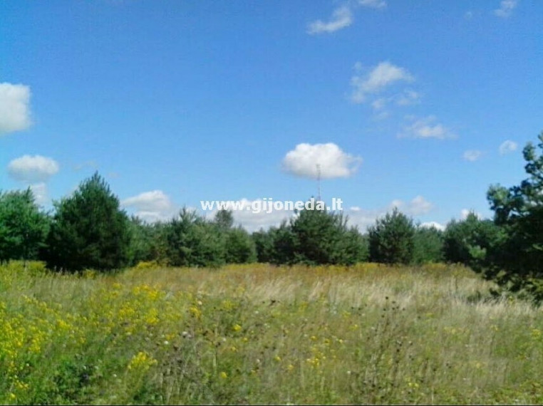 Parduodamas daugiaaukštės gyvenamosios paskirties sklypas Kisinių k. dal., Klaipėdos r. sav., 19 a ploto 1