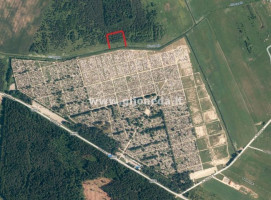 Parduodamas žemės ūkio paskirties sklypas Toleikių k., Klaipėdos r. sav., 98 a ploto 40