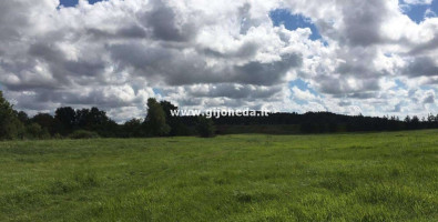 Parduodamas žemės ūkio paskirties sklypas Kretingalės mstl., Klaipėdos r. sav., 198 a ploto 3