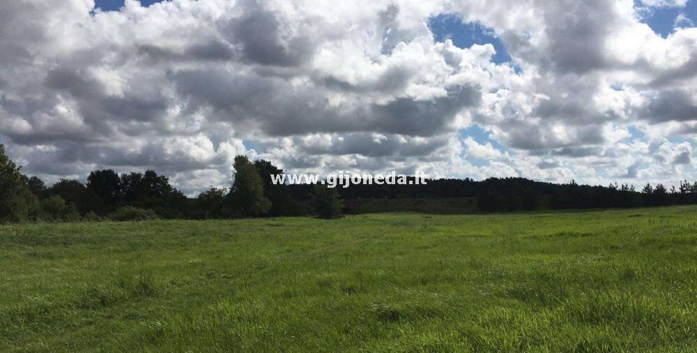 Parduodamas žemės ūkio paskirties sklypas Kretingalės mstl., Klaipėdos r. sav., 198 a ploto 3