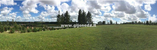 Parduodamas žemės ūkio paskirties sklypas Kretingalės mstl., Klaipėdos r. sav., 198 a ploto 7