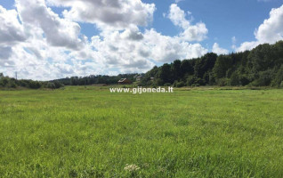 Parduodamas žemės ūkio paskirties sklypas Kretingalės mstl., Klaipėdos r. sav., 198 a ploto 9