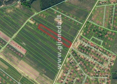 Parduodamas žemės ūkio paskirties sklypas Jakų k., Klaipėdos r. sav., 123 a ploto