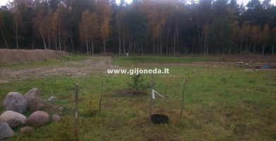 Parduodamas  sklypas Užpelkių k., Kretingos r. sav., 11 a ploto 2