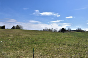 Parduodamas kitos paskirties sklypas Pikutiškių g., Švedų k., Vilniaus r. sav., 11.13 a ploto 10
