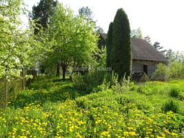 Parduodamas namas Kriklinių mstl., Pasvalio r. sav., 77.56 m2 ploto, 2 aukštai 9
