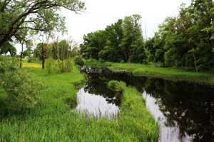 Parduodamas namų valdos paskirties sklypas Senasis Vilniaus kel., Liūdynės k., Panevėžio r. sav., 16.19 a ploto 10
